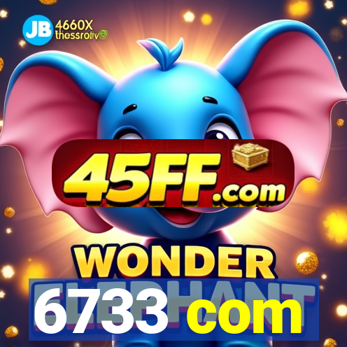 6733 com